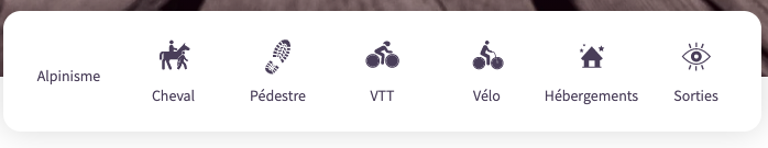 Activity Icon modified on home